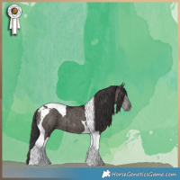 Horse Color:Smoky Grullo Tobiano Brindle