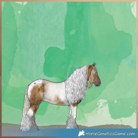 Horse Color:Chocolate Palomino Dun Tobiano Brindle 