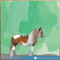 Horse Color:Chocolate Palomino Tobiano 