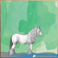 Horse Color:Black Tobiano Near Leopard 