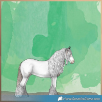 Horse Color:Liver Chestnut Tobiano Frame