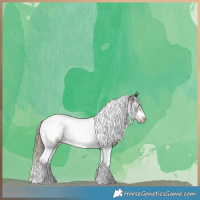 Horse Color:Liver Chestnut Tobiano Frame 