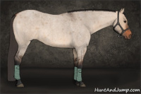Horse Color:Bay Roan Dun 