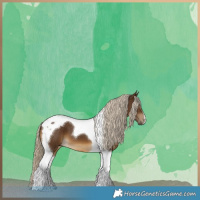 Horse Color:Chocolate Palomino Tobiano 