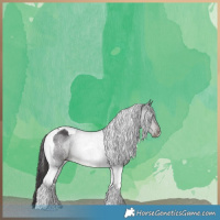 Horse Color:Smoky Black Tobiano 