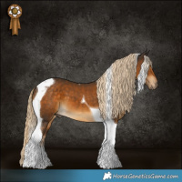 Horse Color:Chocolate Palomino Tobiano 