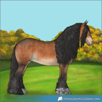 Horse Color:Bay and Bay