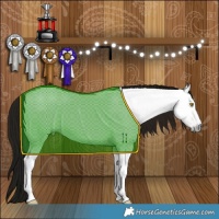 Horse Color:Gray Amber Champagne Tobiano 