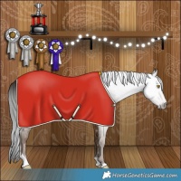 Horse Color:Gray Amber Champagne Tobiano 