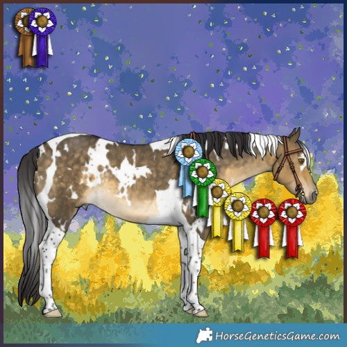 Horse Color:White Spotted Buckskin Dun Tobiano Rabicano 