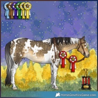 Horse Color:White Spotted Buckskin Dun Tobiano Rabicano 