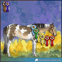 Horse Color:White Spotted Buckskin Dun Tobiano Rabicano 