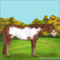 Horse Color:Chestnut Frame 