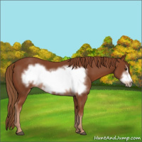 Horse Color:Chestnut Frame 