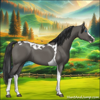 Horse Color:Grullo Splash Tobiano 