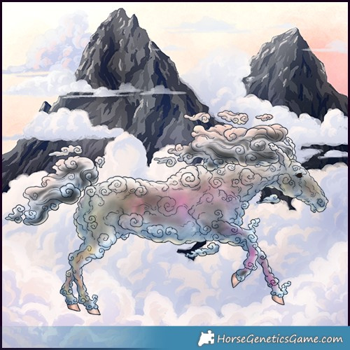 Horse Color:Black Rabicano 