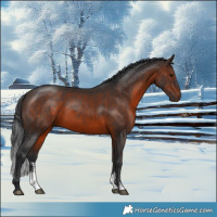 Horse Color:Brown Sabino 