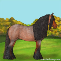 Horse Color:Bay Roan 