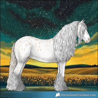 Horse Color:Palomino Dun Splash Appaloosa