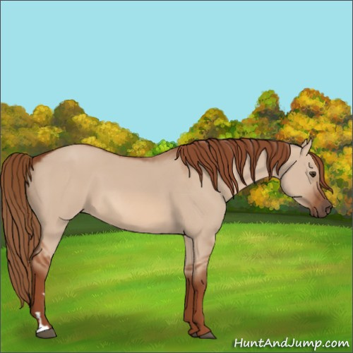 Horse Color:Red Dun