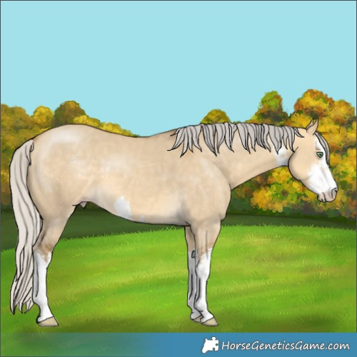 Horse Color:White Spotted Silver Sable Cream Champagne Dun 