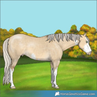 Horse Color:White Spotted Silver Sable Cream Champagne Dun