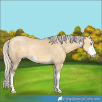 Horse Color:White Spotted Silver Sable Cream Champagne Dun