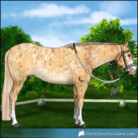 Horse Color:Chestnut Blanket  and Palomino 