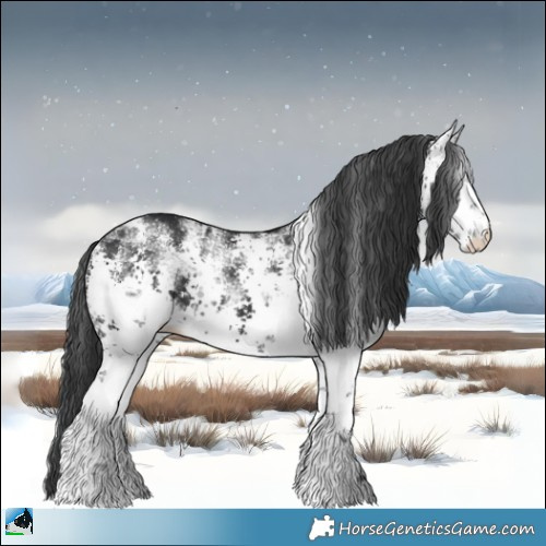 Horse Color:White Spotted Black Sabino 