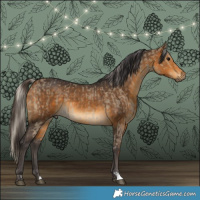 Horse Color:Silver Smoky Grullo and Buckskin