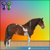 Horse Color:Liver Chestnut Tobiano 