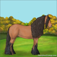 Horse Color:Bay Roan 