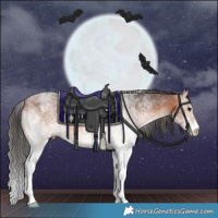 Horse Color:White Spotted Bay 
