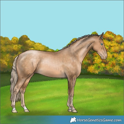 Horse Color:Chocolate Palomino Pearl 