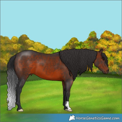 Horse Color:Brown 