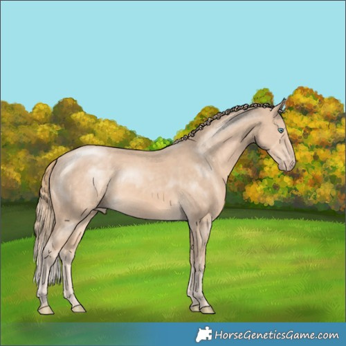 Horse Color:Perlino Rabicano 
