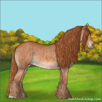 Horse Color:Chestnut  and Chestnut 