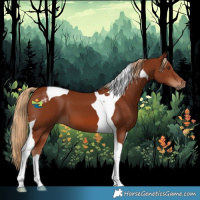 Horse Color:Chestnut Tobiano 