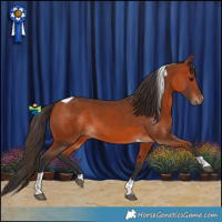 Horse Color:Bay Tobiano 