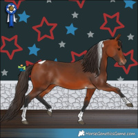 Horse Color:Bay Tobiano 