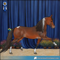 Horse Color:Bay Tobiano 