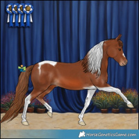 Horse Color:Chestnut Tobiano