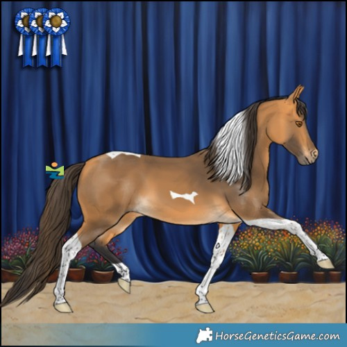Horse Color:Buckskin Tobiano 