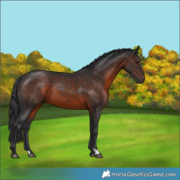 Horse Color:Brown 