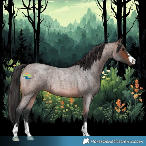 Horse Color:Brown Roan Rabicano 