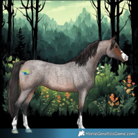 Horse Color:Brown Roan Rabicano 