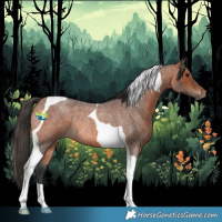 Horse Color:Bay Roan Tobiano Rabicano