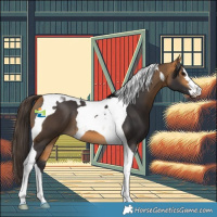 Horse Color:Buckskin Tobiano 
