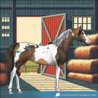 Horse Color:Buckskin Tobiano 