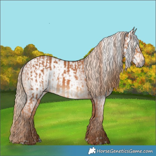 Horse Color:Chestnut and Gray Chestnut